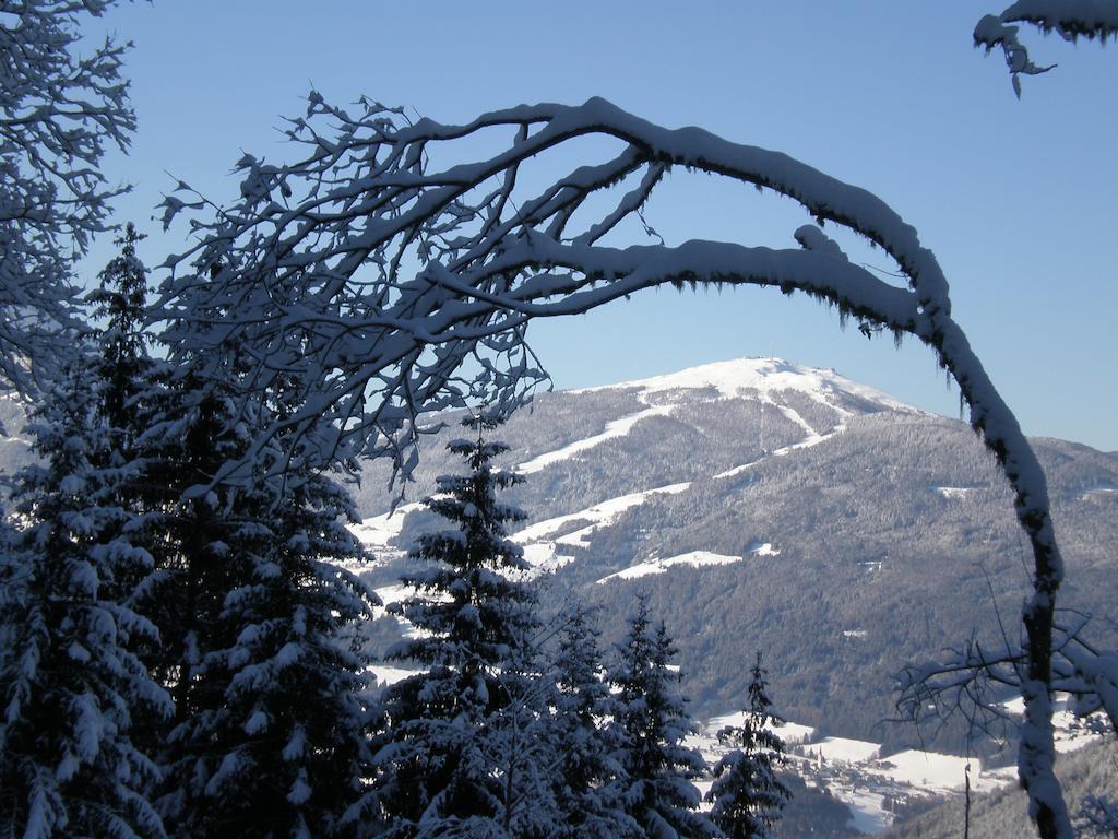 Oberlechnerhof Bed and Breakfast Rasun di Sopra Buitenkant foto