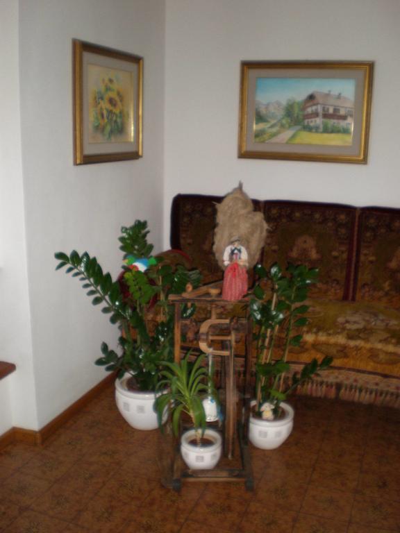Oberlechnerhof Bed and Breakfast Rasun di Sopra Buitenkant foto